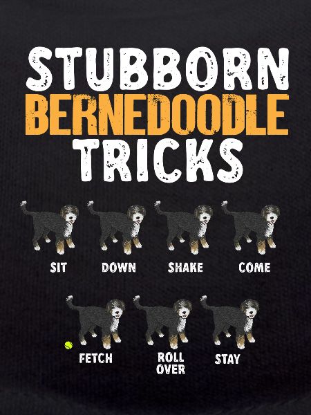Bernedoodle Dog