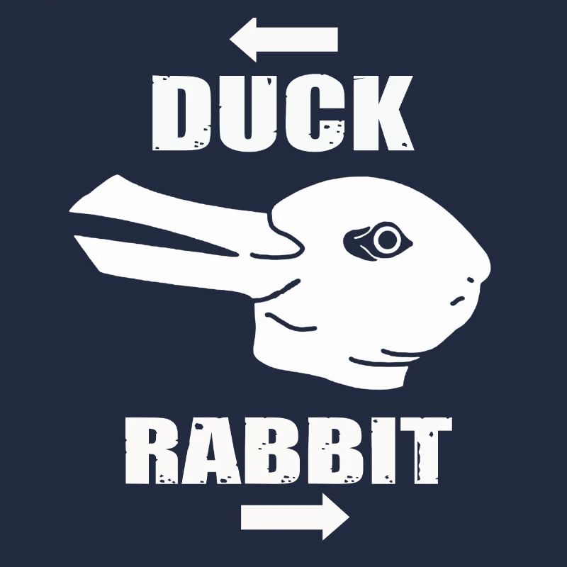 Wittgensteins Rabbit Duck Illusion