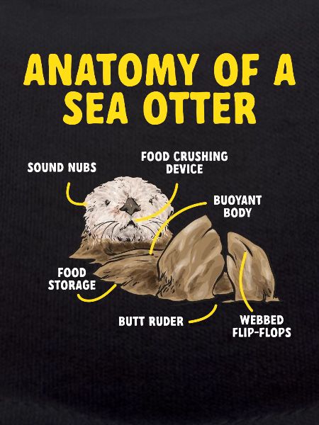 Sea otter