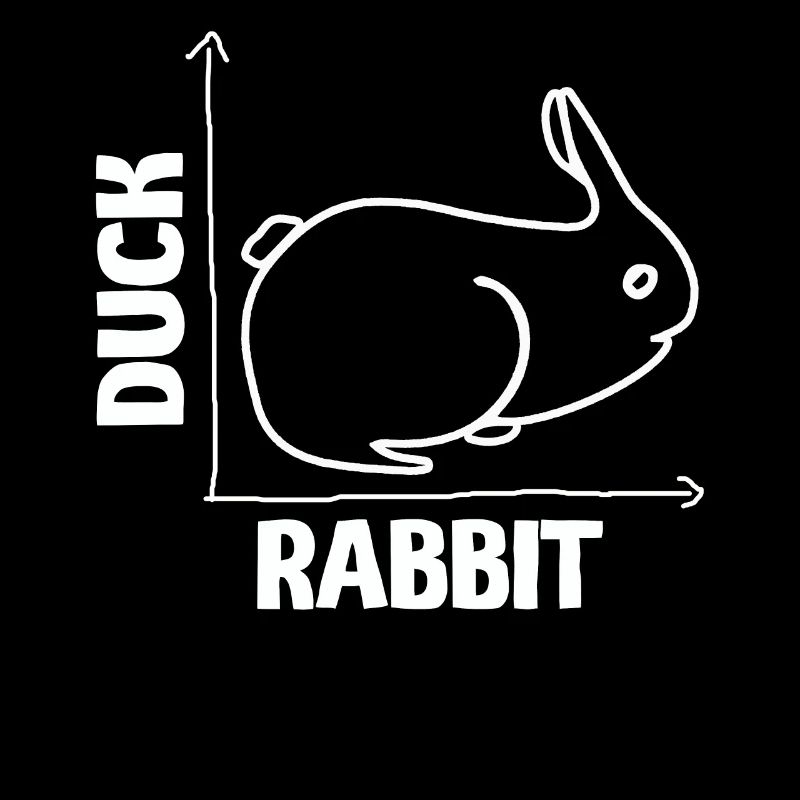 Wittgensteins Rabbit Duck Illusion