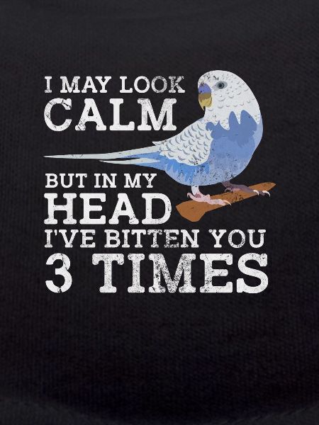 Budgerigar