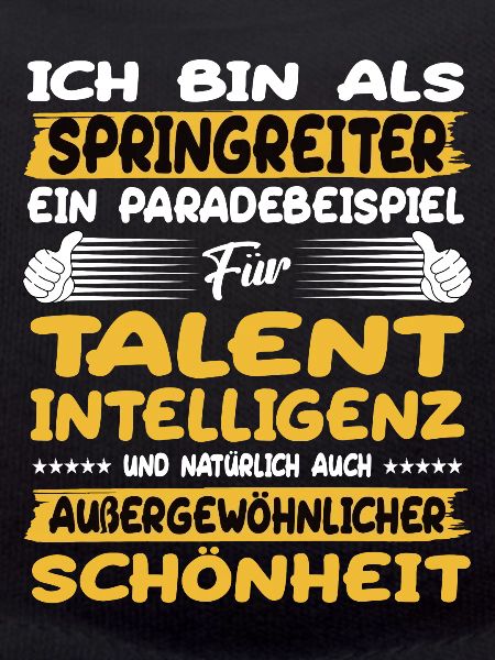 Springreiter ein Paradebeispiel Springreiten