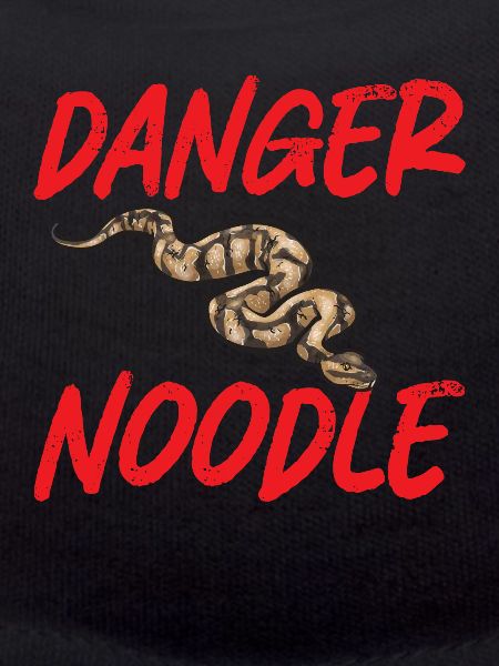 Ball Python Snake King Python