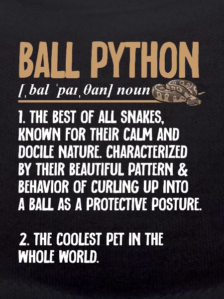 Ball Python Snake King Python
