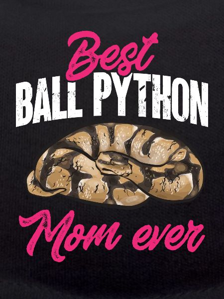 Ball Python Snake King Python