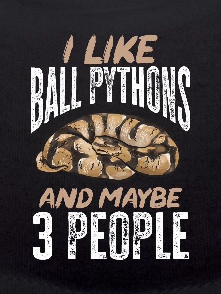 Ball Python Schlange Königspython