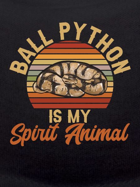 Ball Python Schlange Königspython