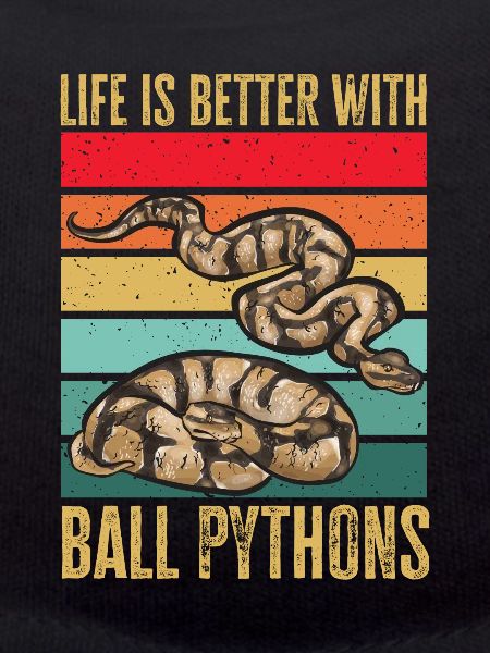 Ball Python Snake King Python