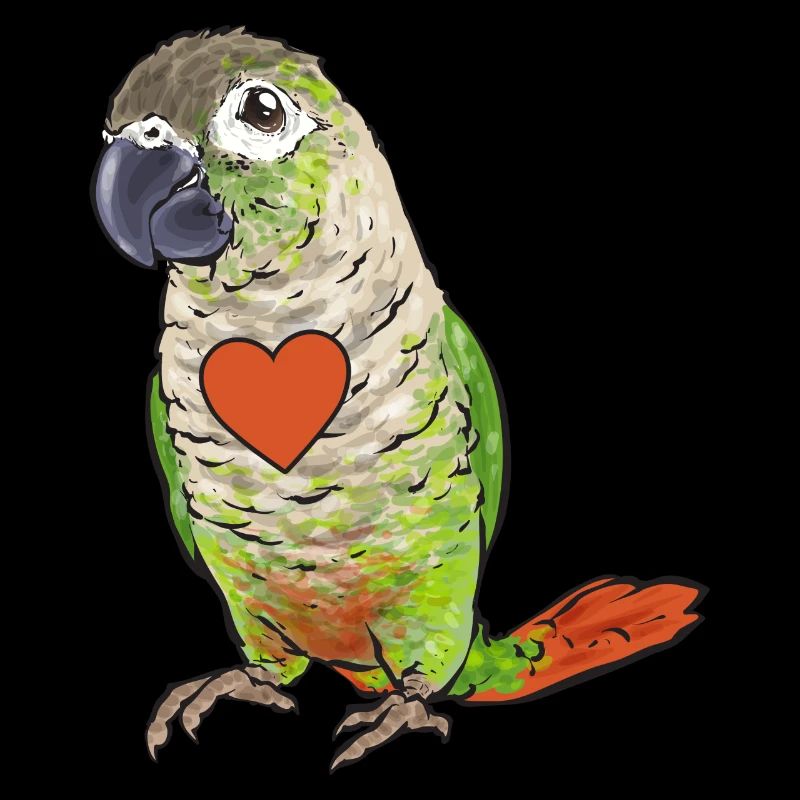 Molina Perruche Perroquet Oiseau Perruche