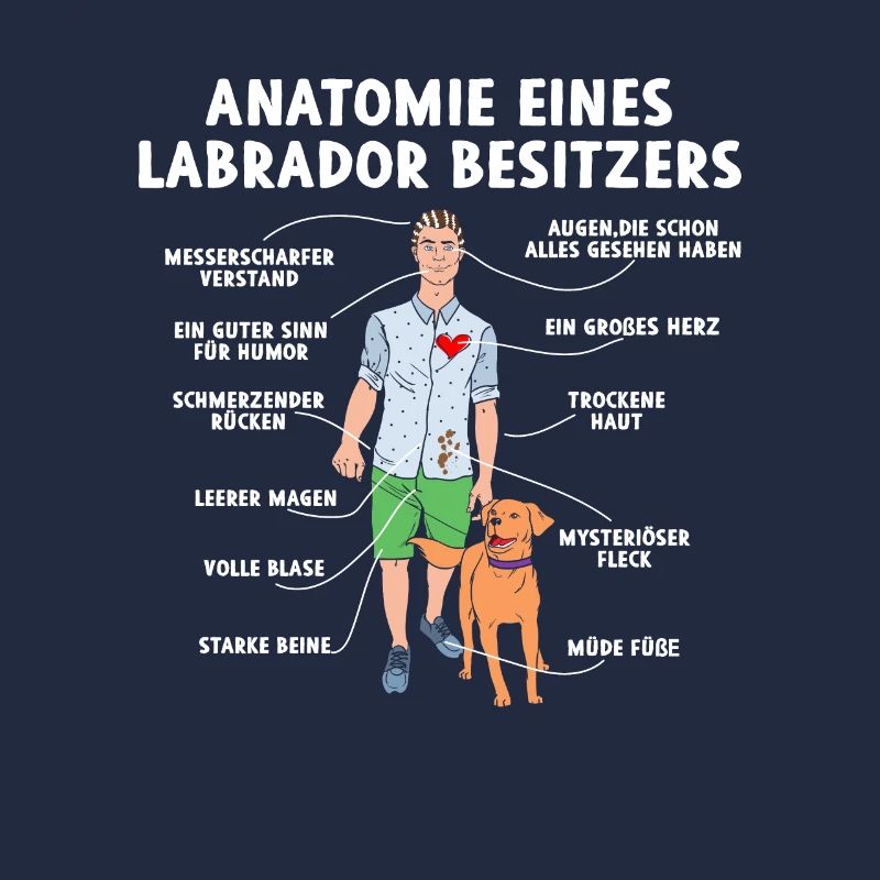 Anatomie d’un propriétaire de labrador