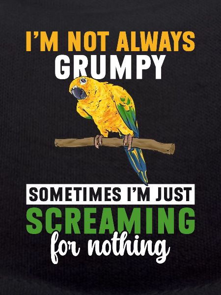 Parakeet Parrot Parakeet Bird