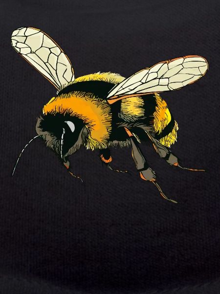 BUMBLEBEES