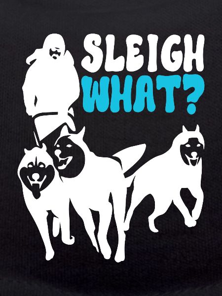 Sledding Sled dogs