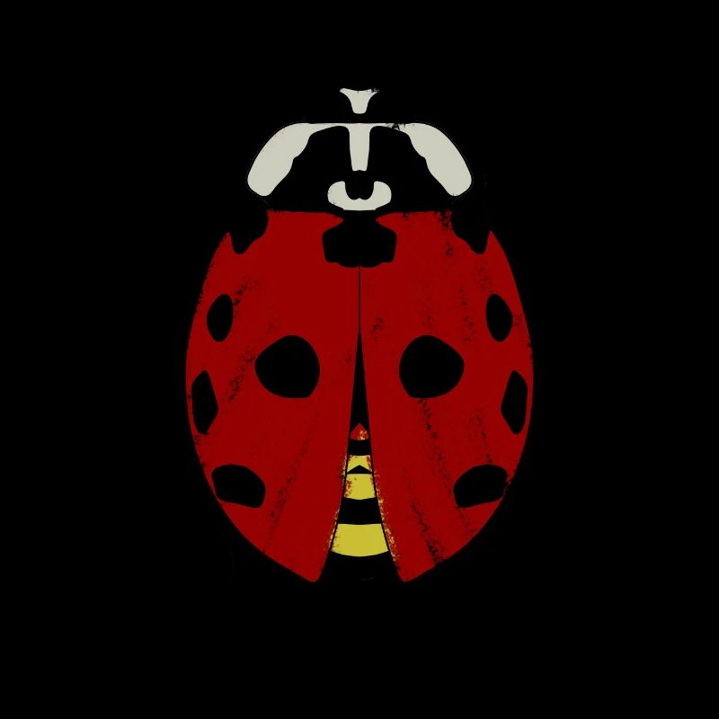 Coccinelle Coccinelles