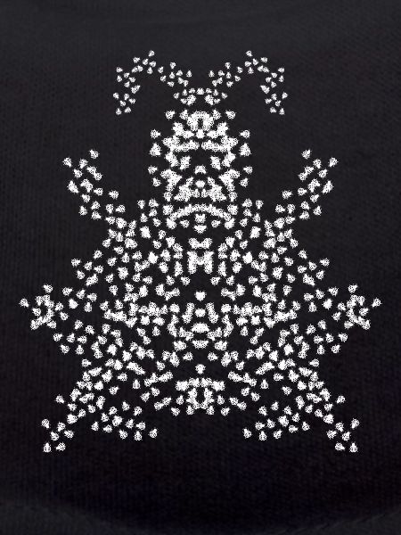 Ladybug Monsters Ladybugs