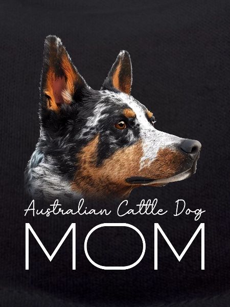 Bouvier australien Maman