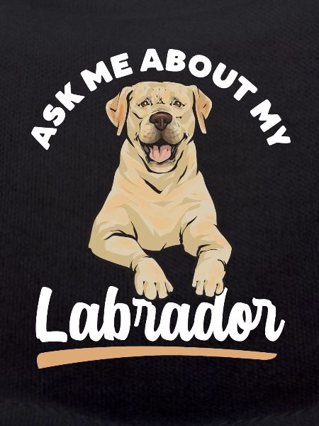 Yellow Labrador Retriever