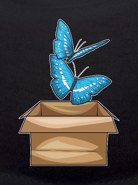 Schmetterling Karton