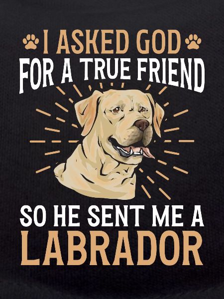 Yellow Labrador Retriever
