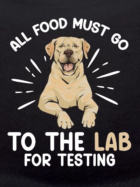 Yellow Labrador Retriever