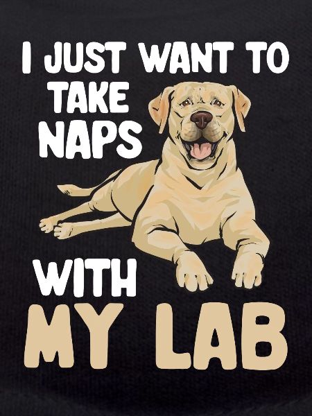 Yellow Labrador Retriever