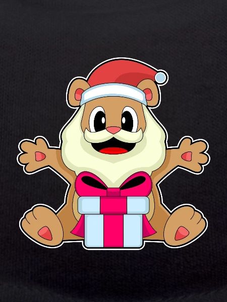 Bear Christmas Package