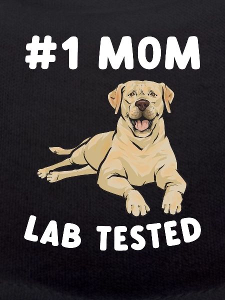 Labrador Retriever jaune