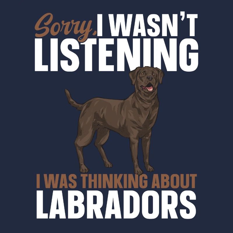 Chocolate Brown Labrador Retriever Dog
