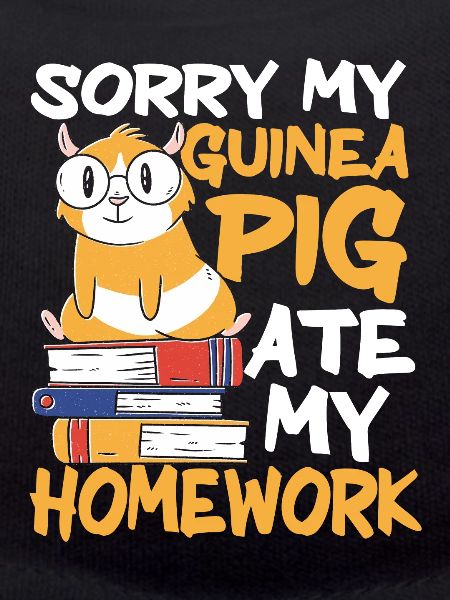 Guinea Pig Pet