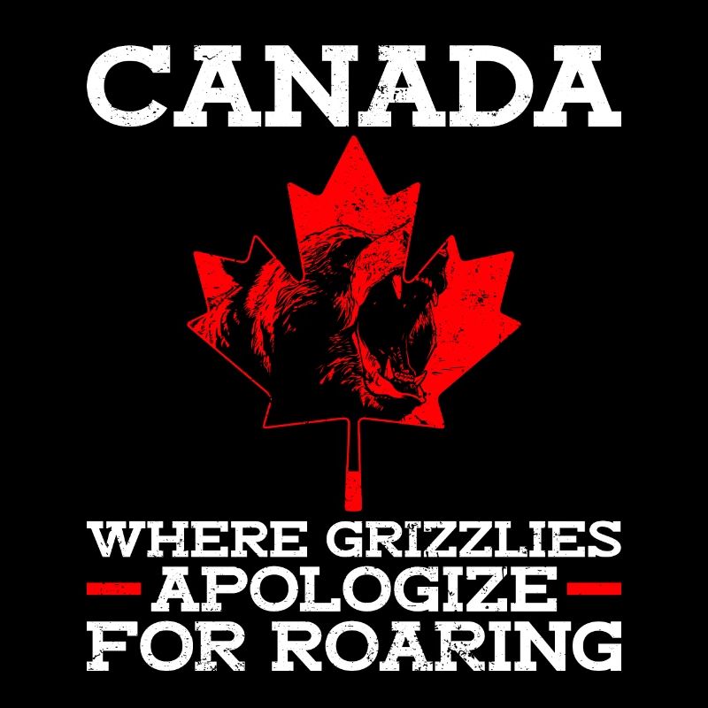 Grizzlybär Kanada Braunbär Bär