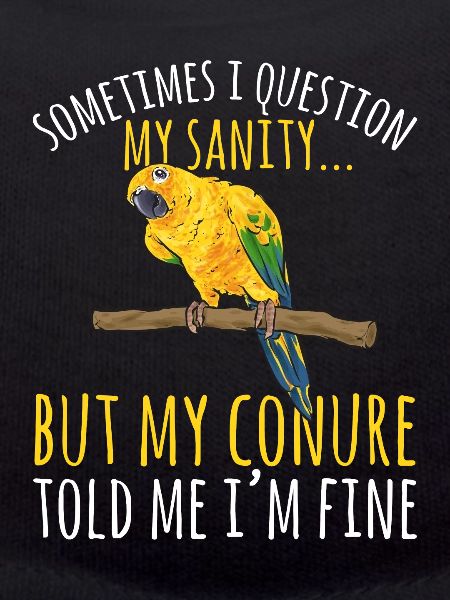 Parakeet, Parrot, Parakeet, Bird