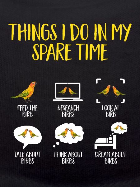 Parakeet, Parrot, Parakeet, Bird