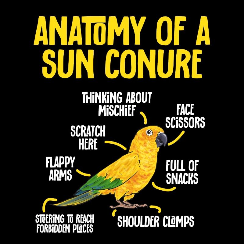Sonnensittich Papagei Sittich Vogel