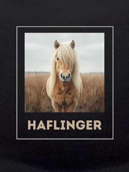 Haflinger Cheval Sucré