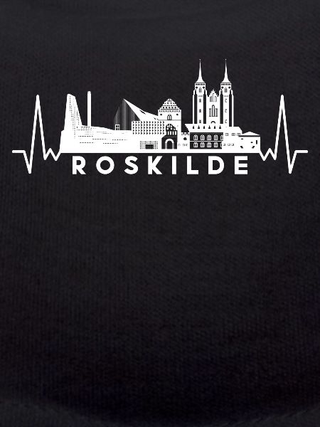 Heartbeat Skyline Denmark-Roskilde