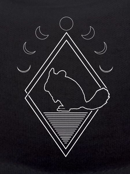 Chinchilla Moon Phases