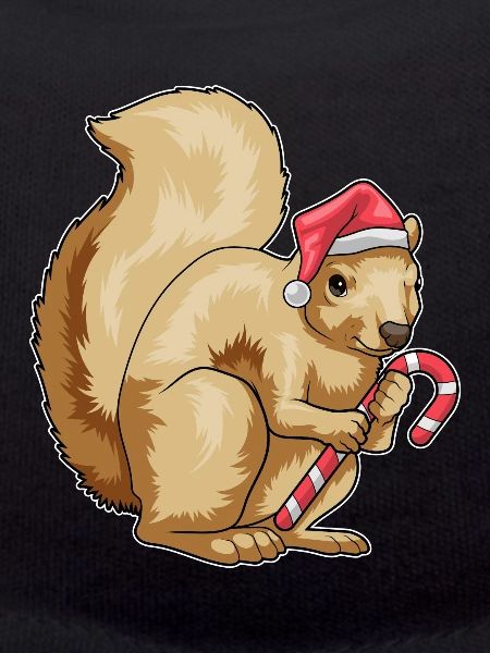 Canne de Noël écureuil