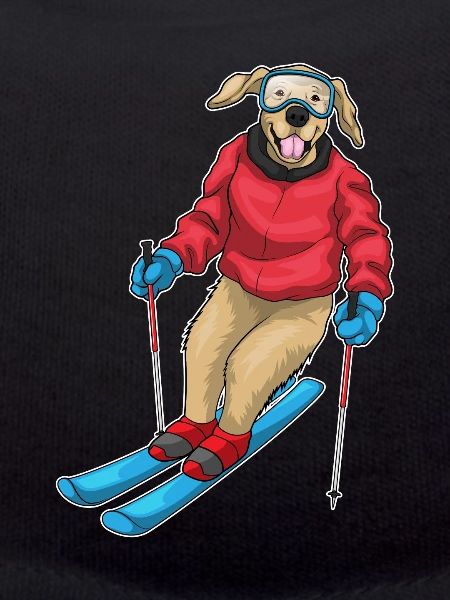 Labrador Skifahrer Ski