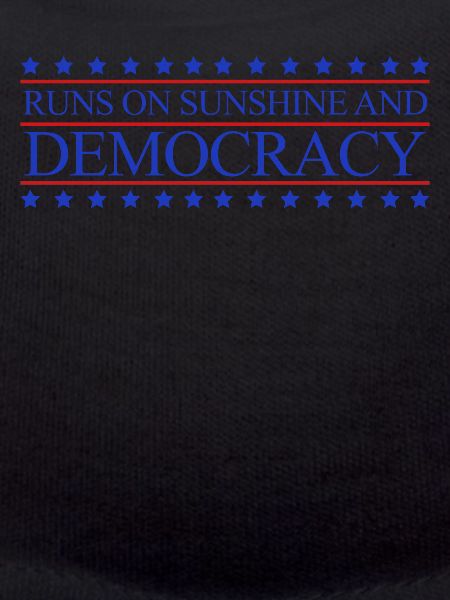 Democracy Democratic Elections