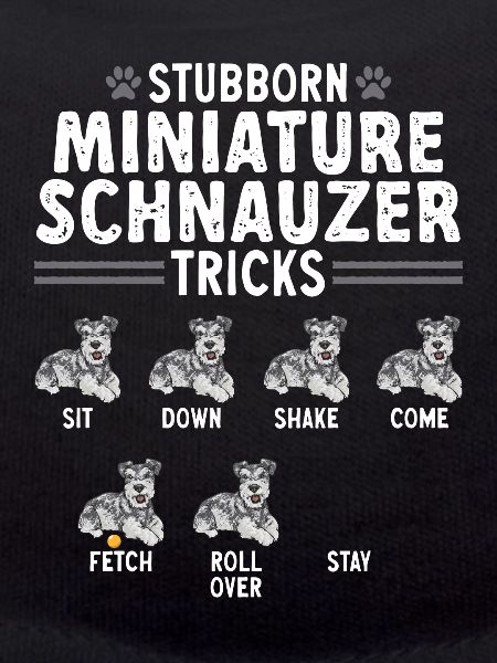 Miniature Schnauzer Dog Schnauzer