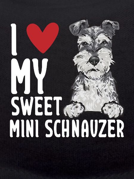 Miniature Schnauzer Dog Schnauzer