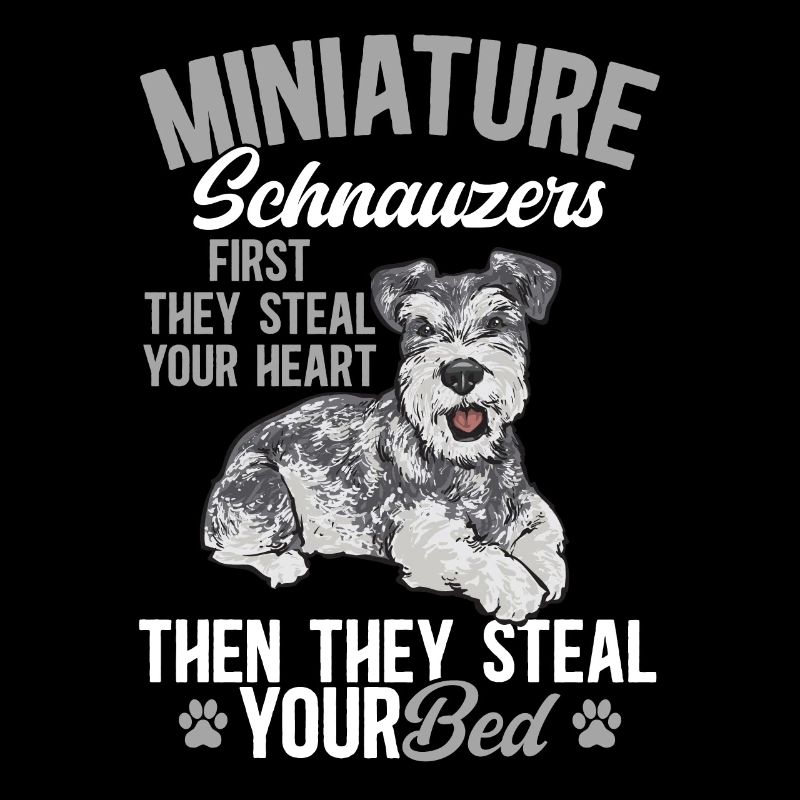 Zwergschnauzer Hund Schnauzer