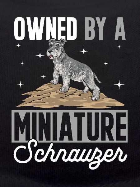 Miniature Schnauzer Dog Schnauzer