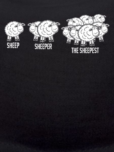 Sheep Shepherd