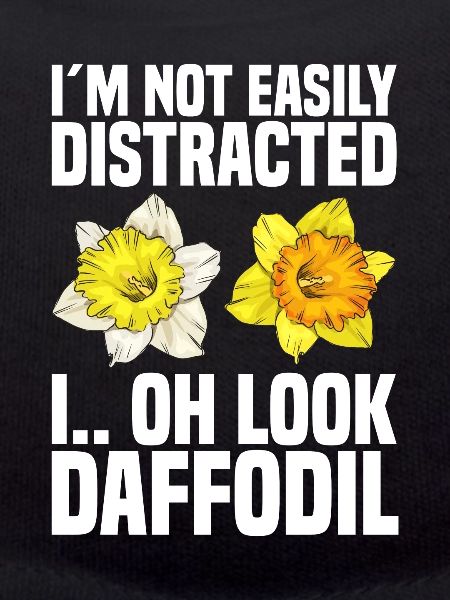 Daffodils Flower Daffodil Daffodils