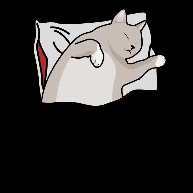 Fatigué Sommeil Chat Nuit Sieste