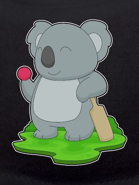 Koala Cricket Cricket Bats