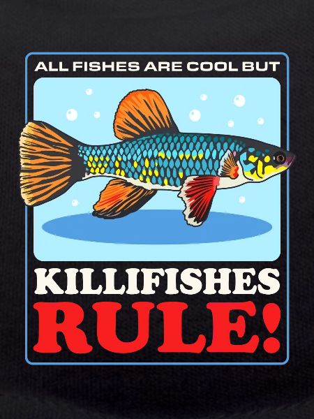 Killifish Egg-laying Toothcarp Gift