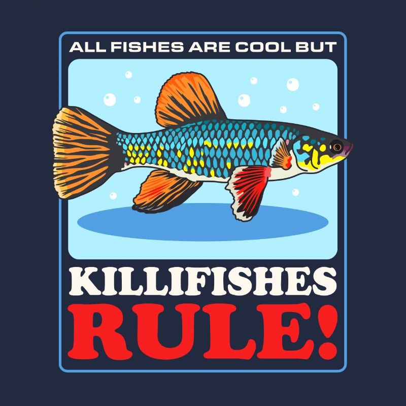 Killifish Egg-laying Toothcarp Gift