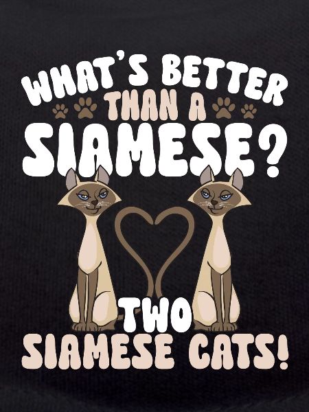 Siamese Cat Siamese Cat